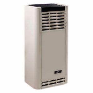 CALEFACTOR CTZ 2500-TB PESADA