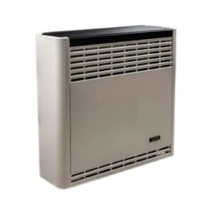 CALEFACTOR CTZ 6000-TB PESADA